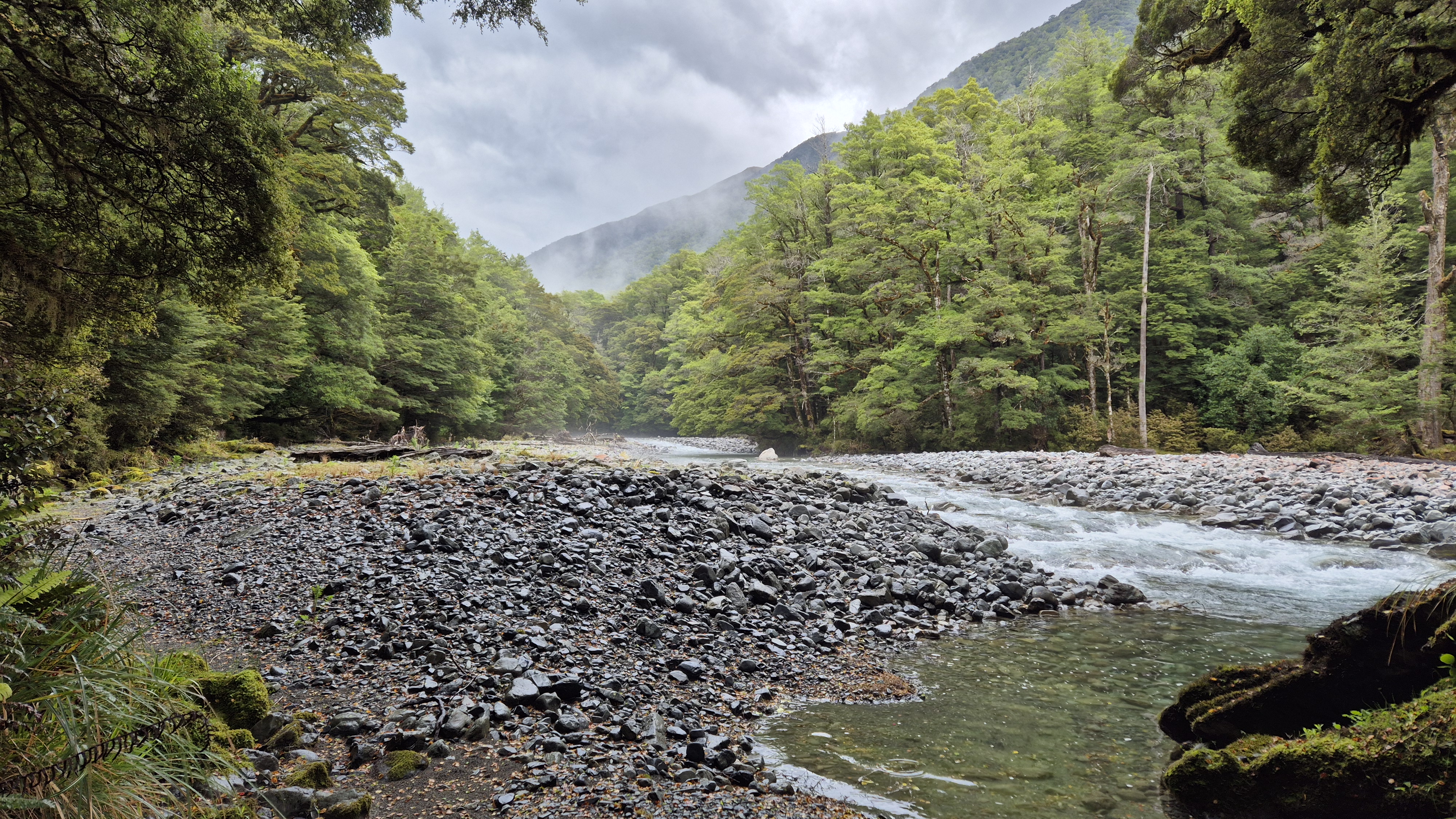 Beside the Robinson River from Mid Robinson Hut