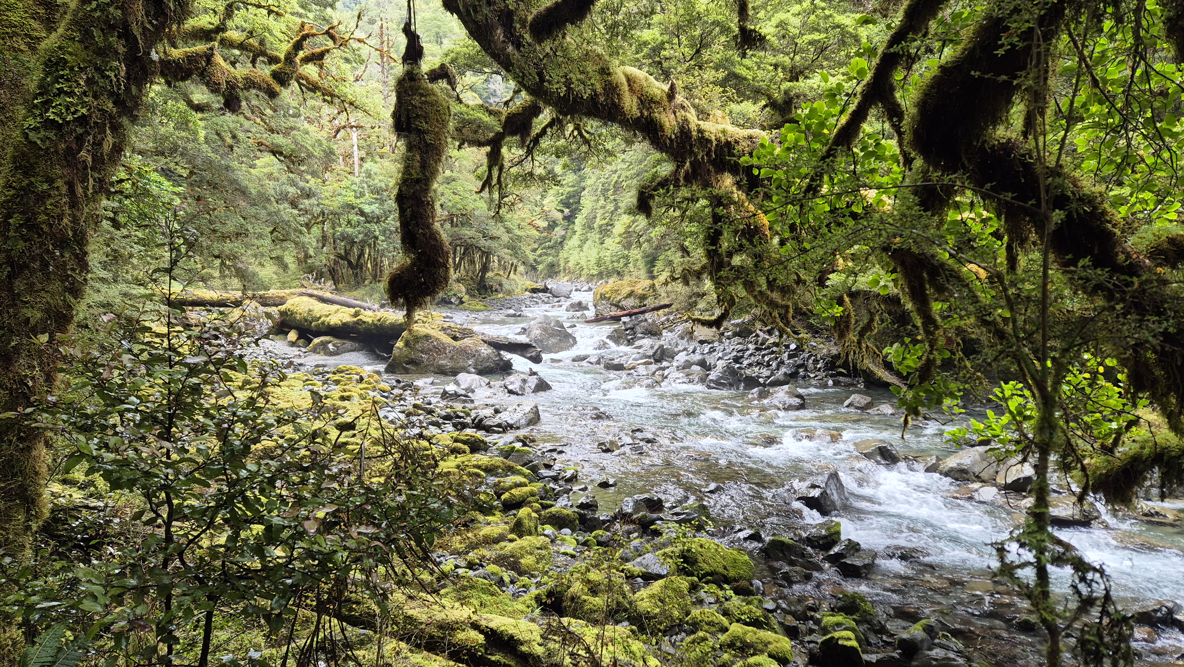 The Robinson River Track towards Top Robinson hut, Robinson Christabel