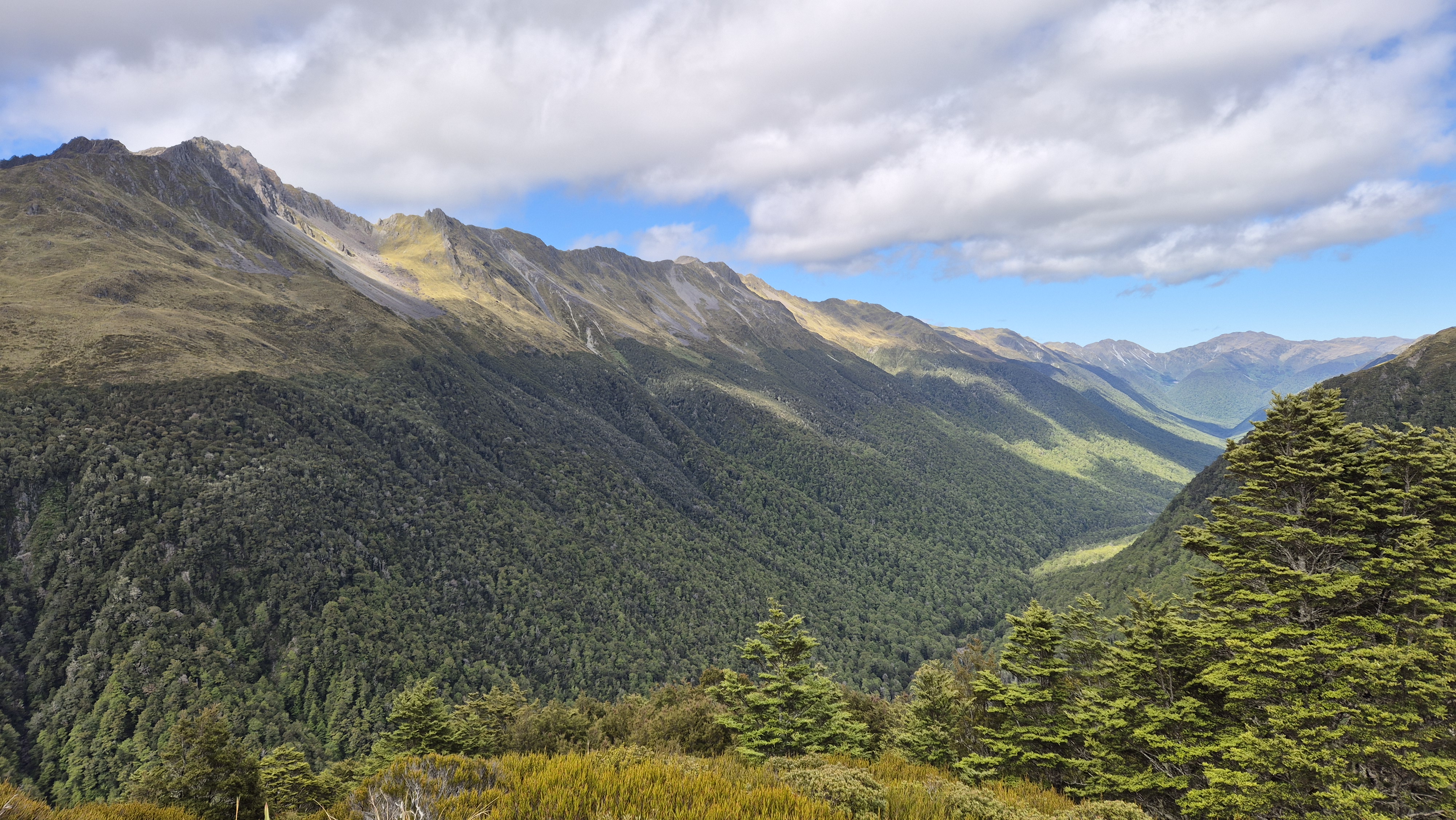 Looking down into the Robinson, Robinson Christabel