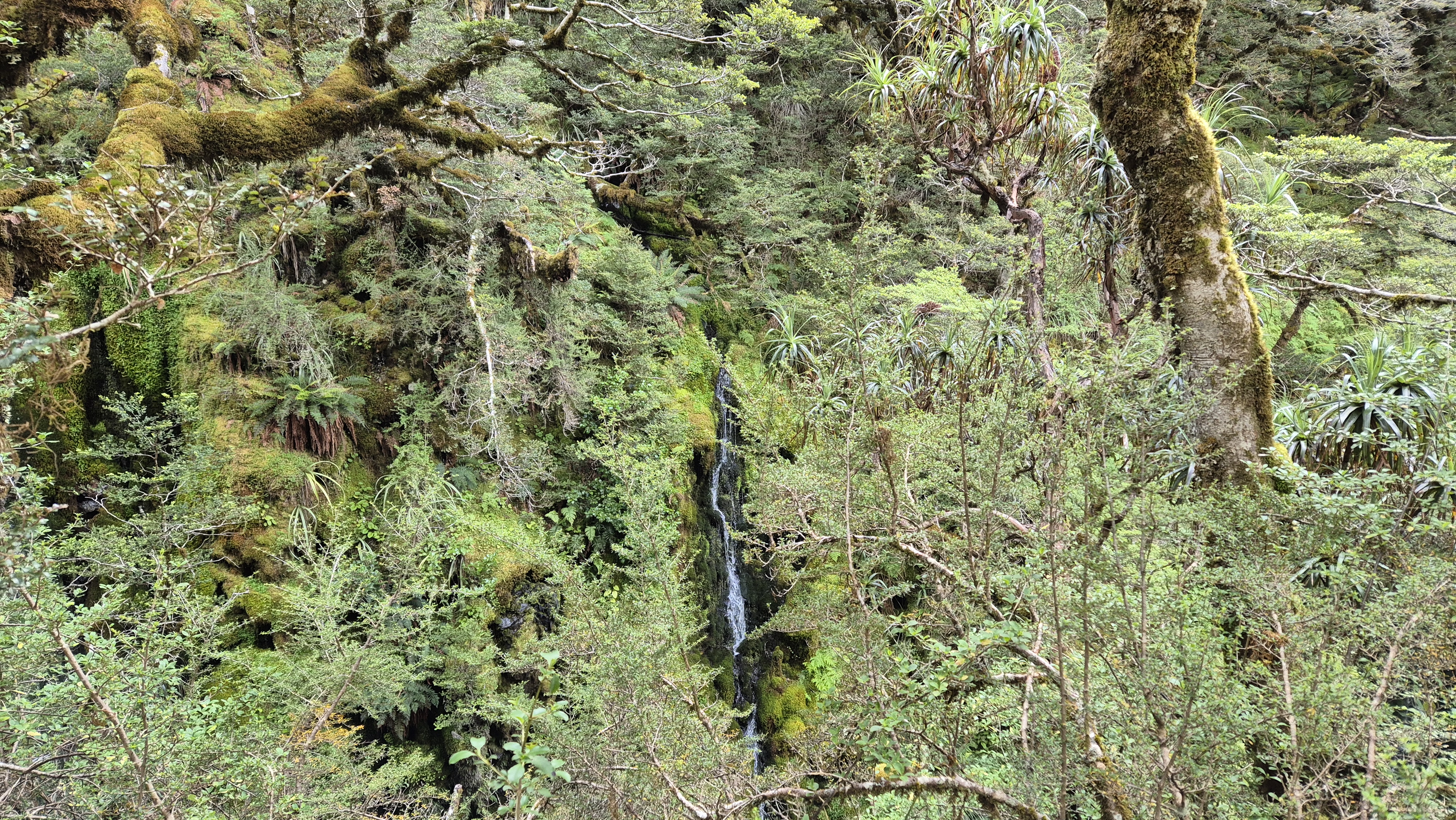 A wall of waterfalls, on the Rough Creek Track from Lake Christabel hut