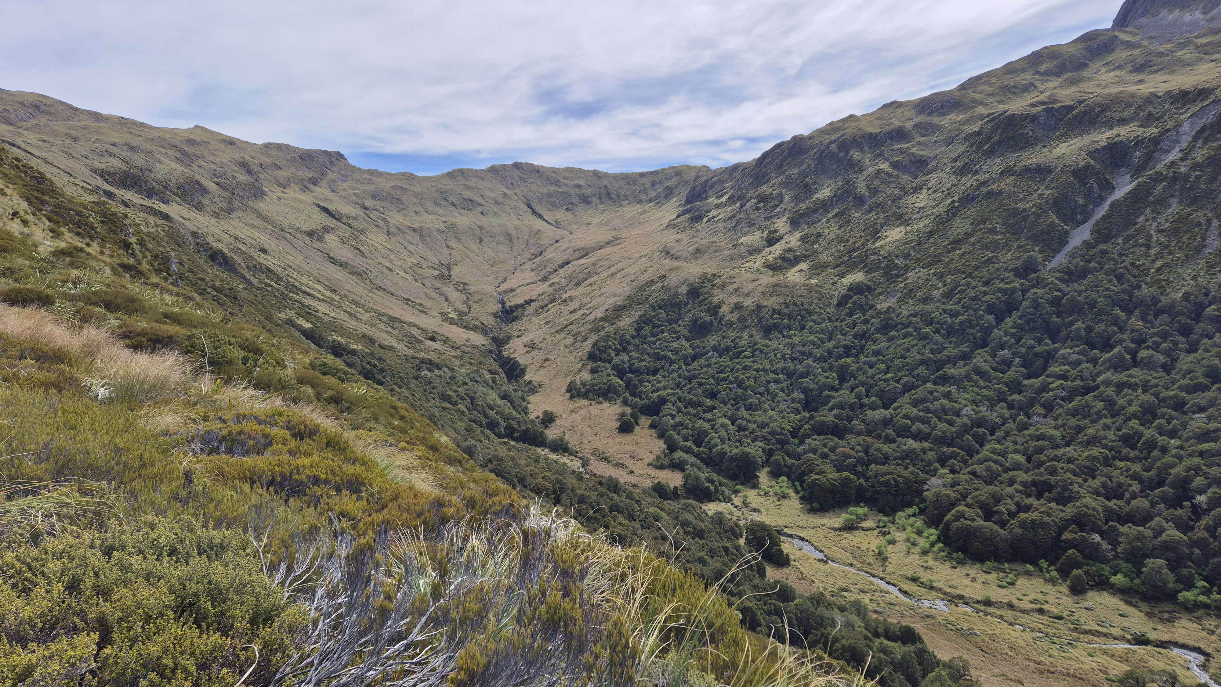 Above the bush line Rough Creek Track from Lake Christabel