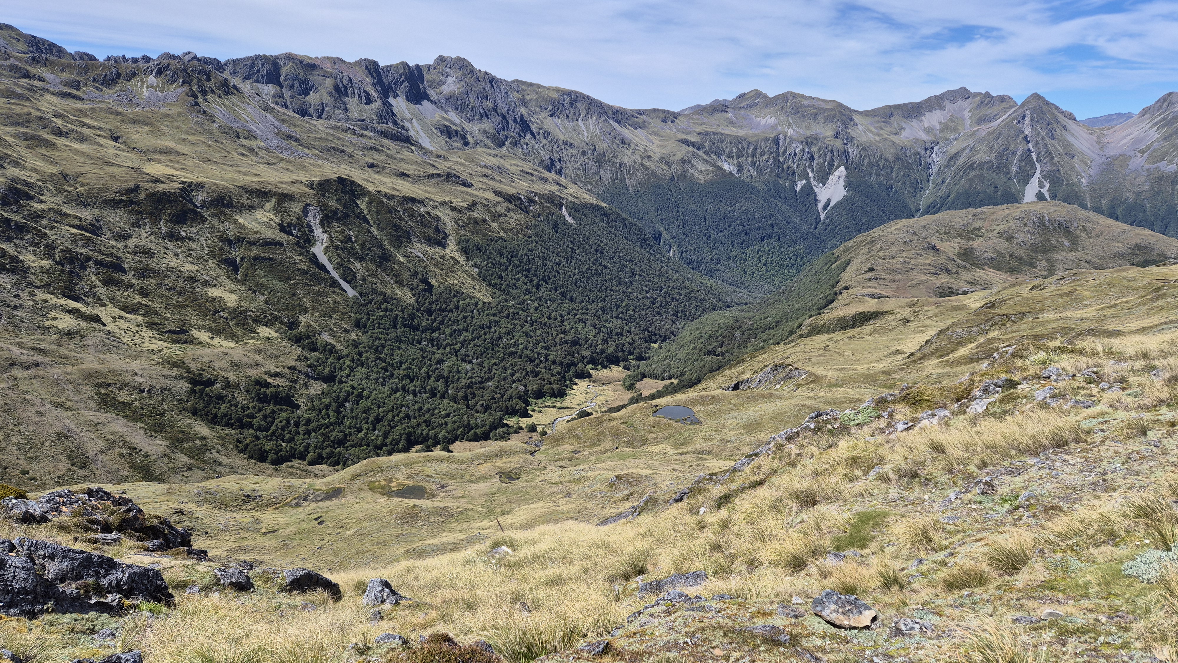 From the ridge on the Rough Creek Track looking to the bush line Christabel