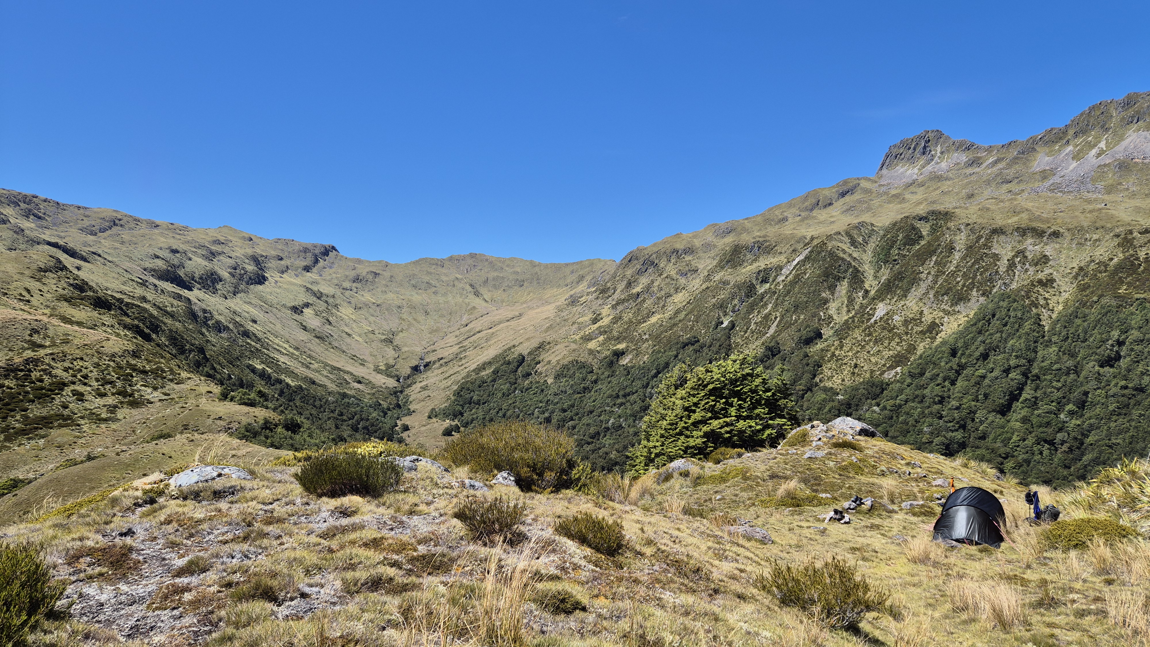A great wild camp near Pt 1231 close to the Rough Creek Track
