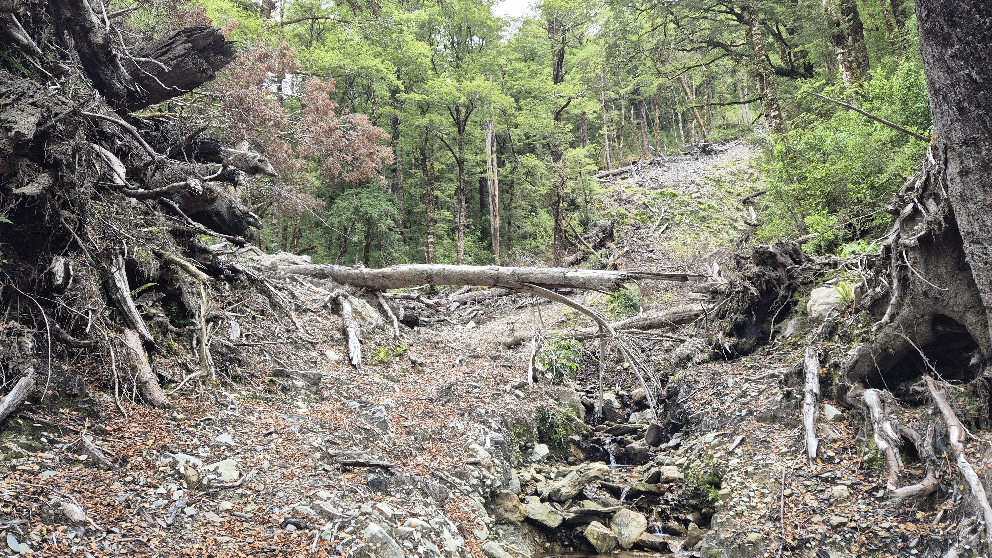 Washout on the Lake Christabel Track, Robinson Christabel Circuit