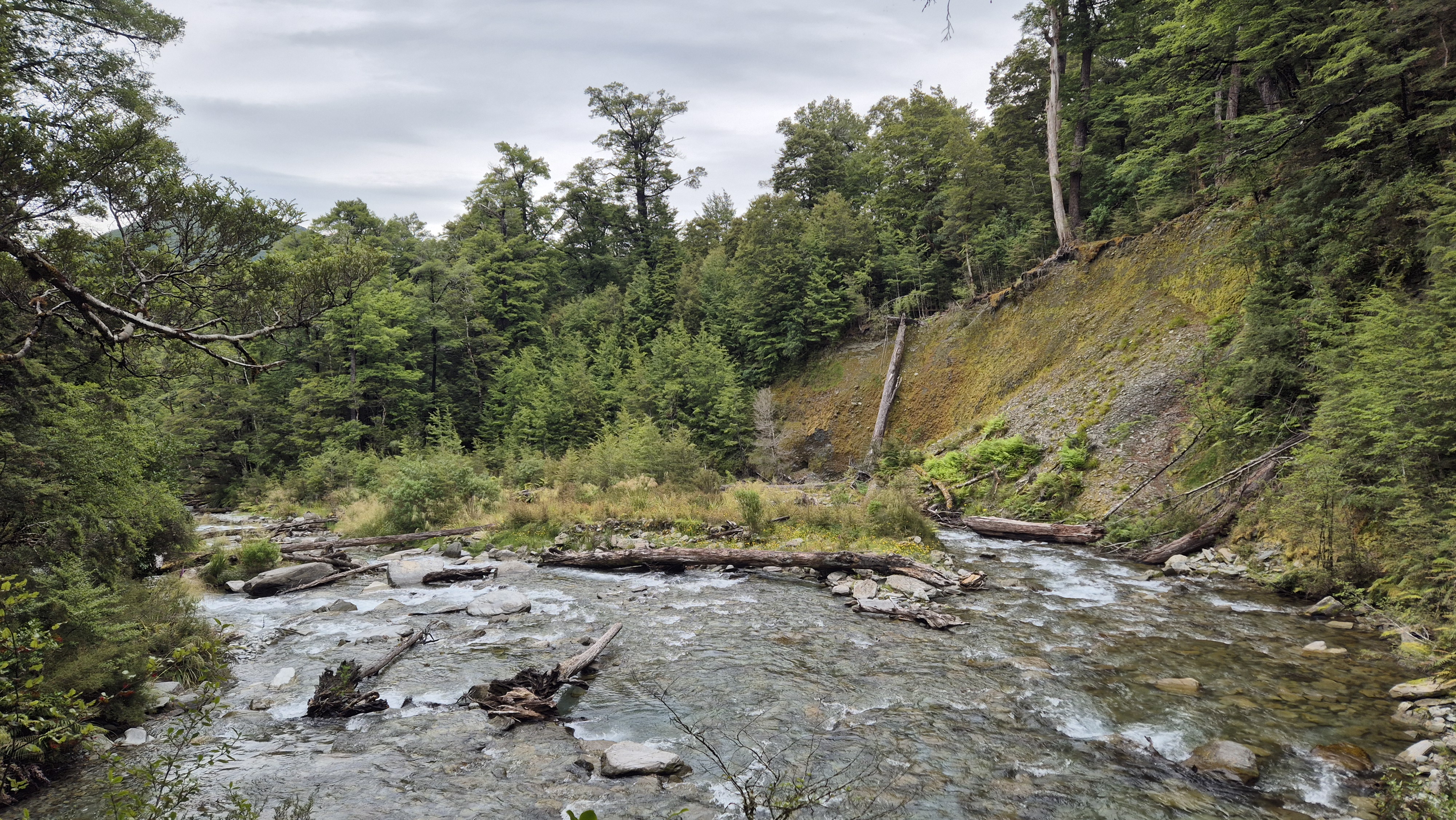Following the track below the cliffs along the true right of the Blue Grey River, Robinson Christabel
