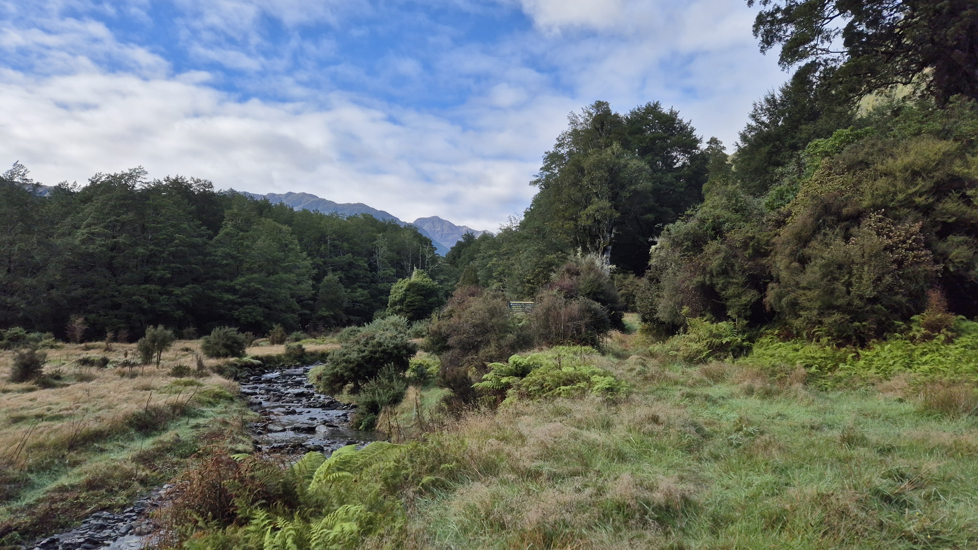 Heading to the Brian O'Lyn Route, Lake Morgan Cone Creek Loop