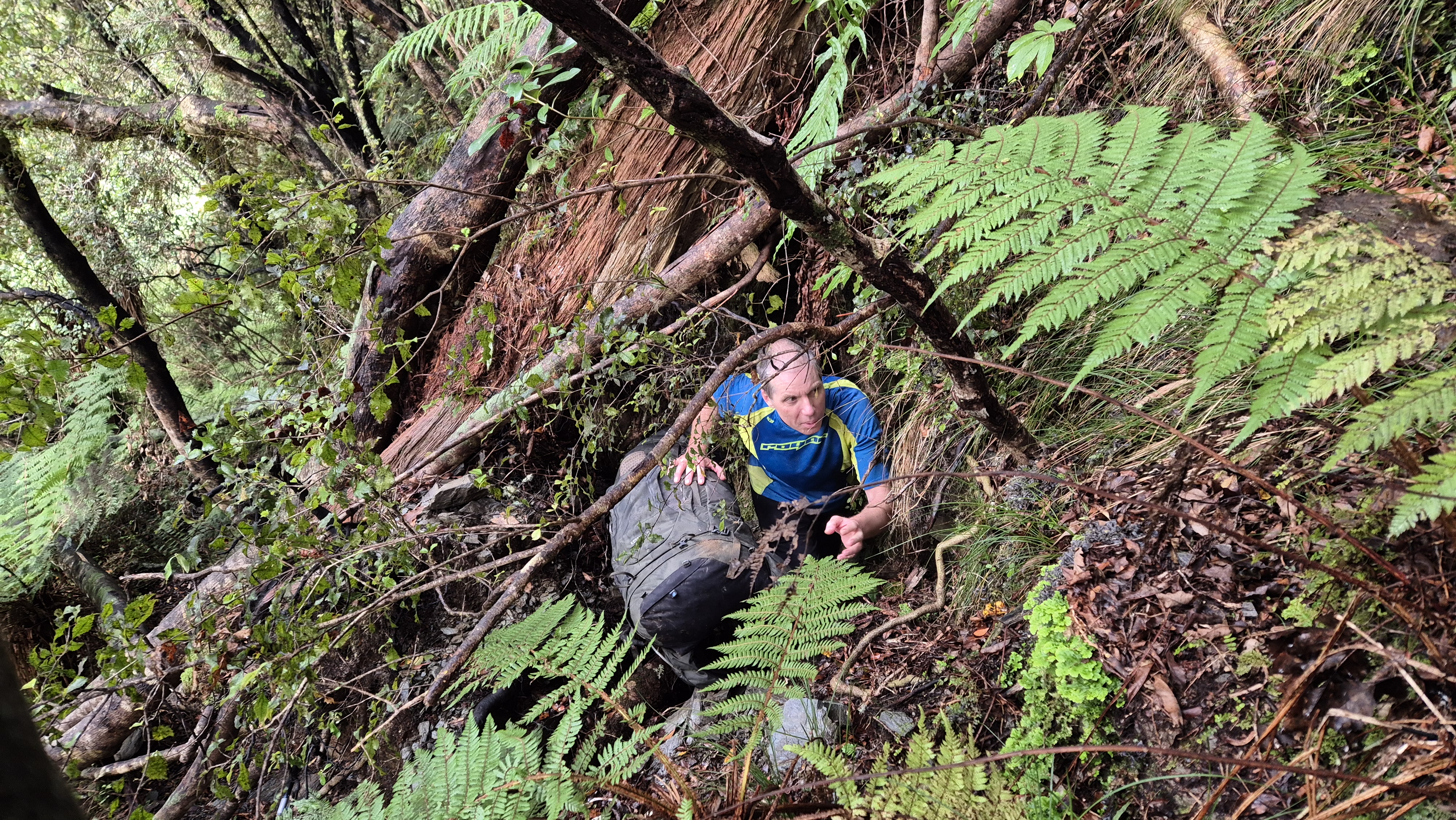 A squeeze behind treefall on the Brian O'Lyn Route, Lake Morgan Cone Creek Loop