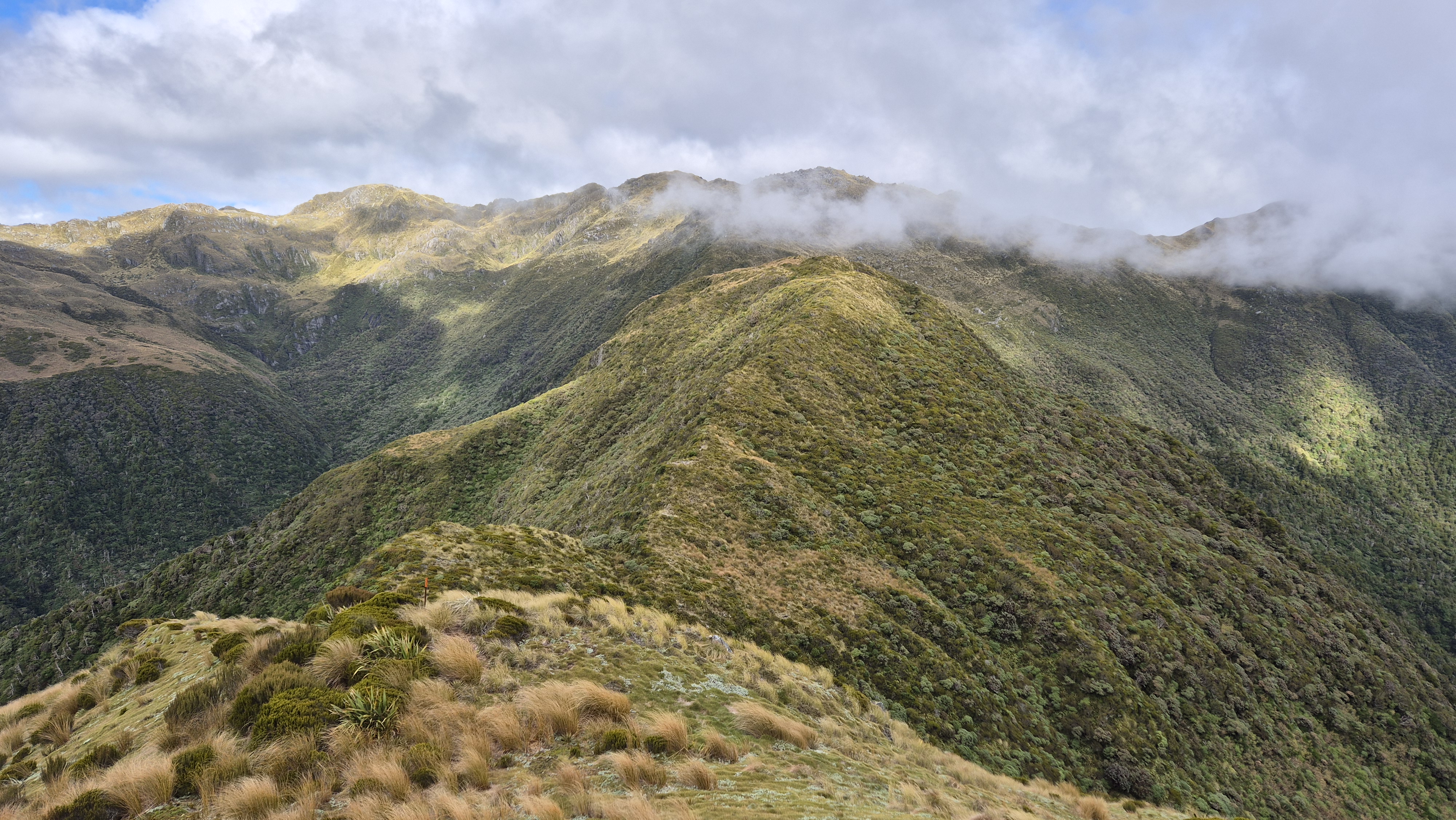 Heading across the saddle to pt 1196. Lake Morgan Cone Creek Loop