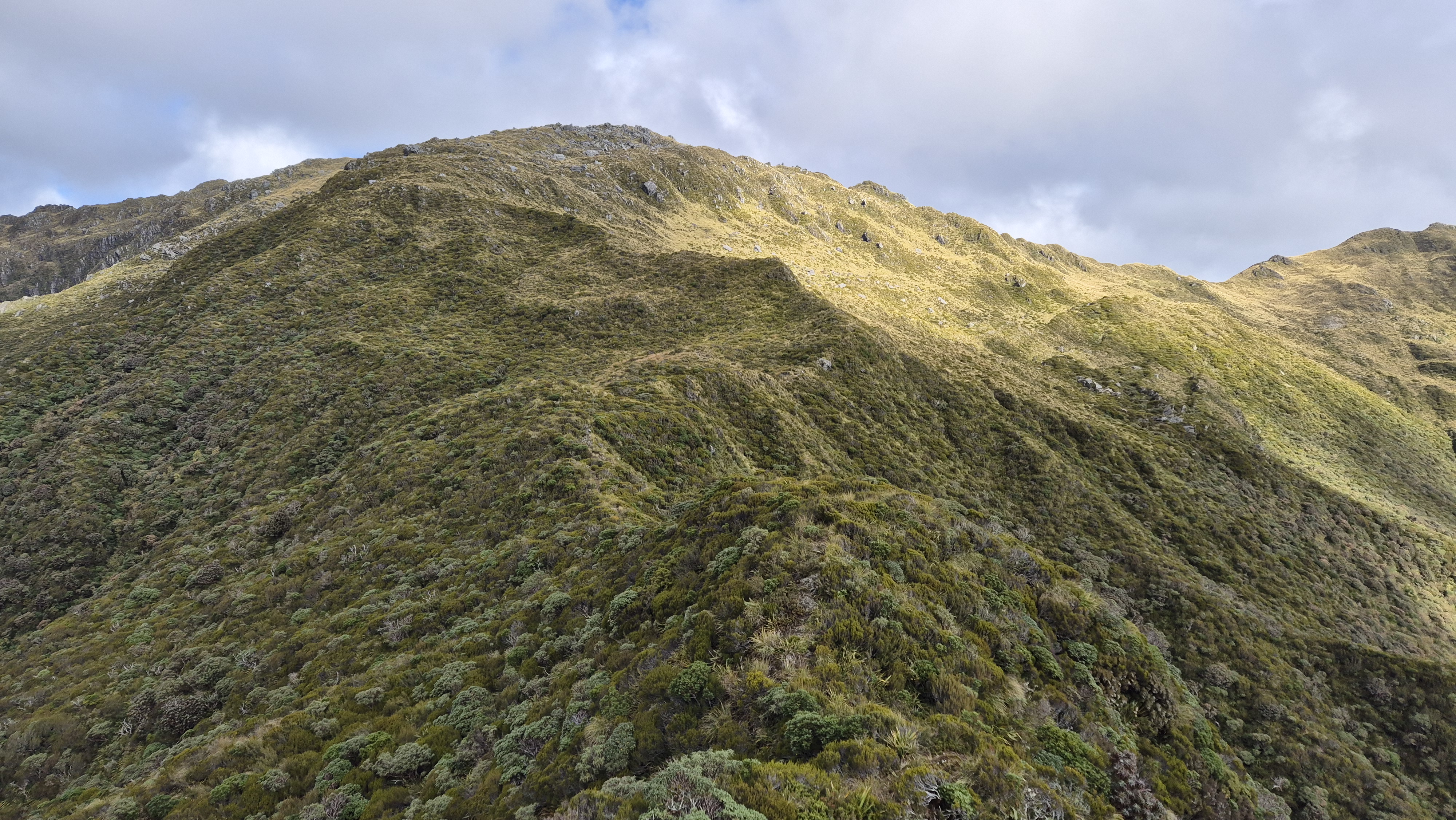 Starting the climb up Mt O'Shanessy. Lake Morgan Cone Creek Loop