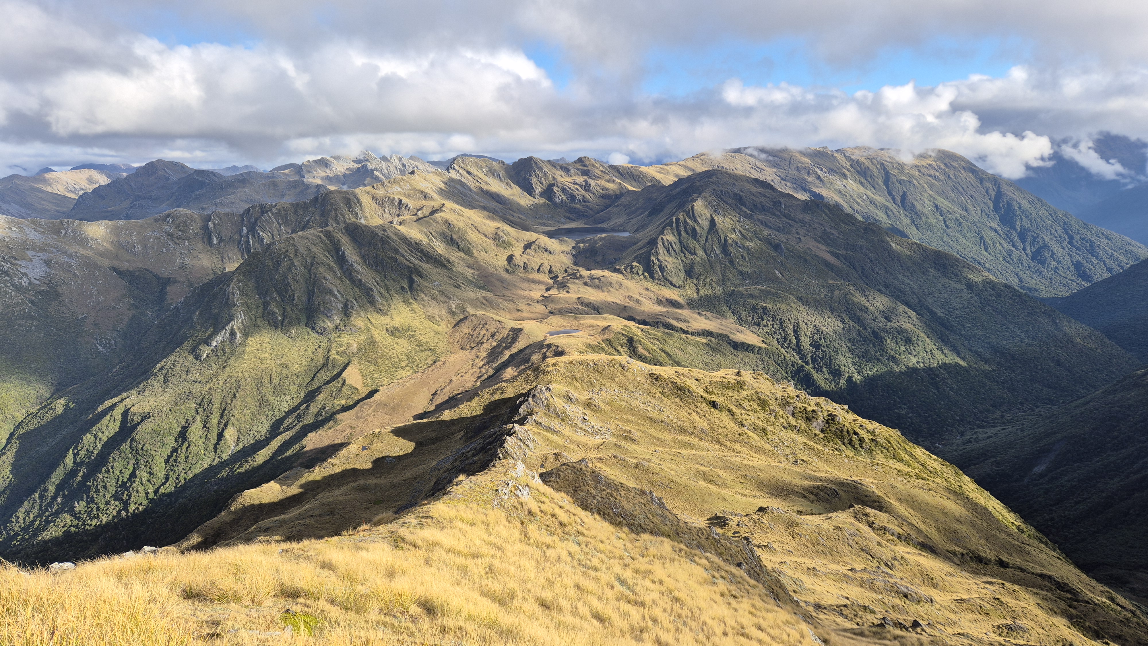 The ridge leading off Mt O'Shanessy to Lake Morgan hut. Lake Morgan Cone Creek Loop
