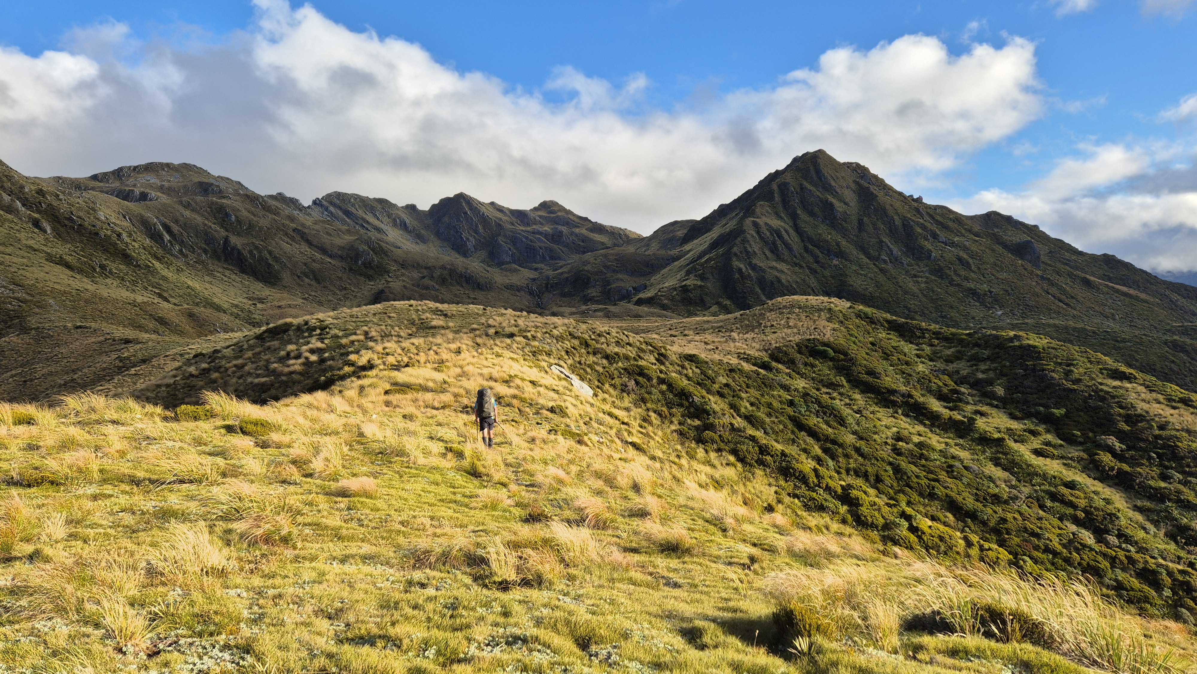 Close to Lake Morgan hut. Lake Morgan Cone Creek loop.