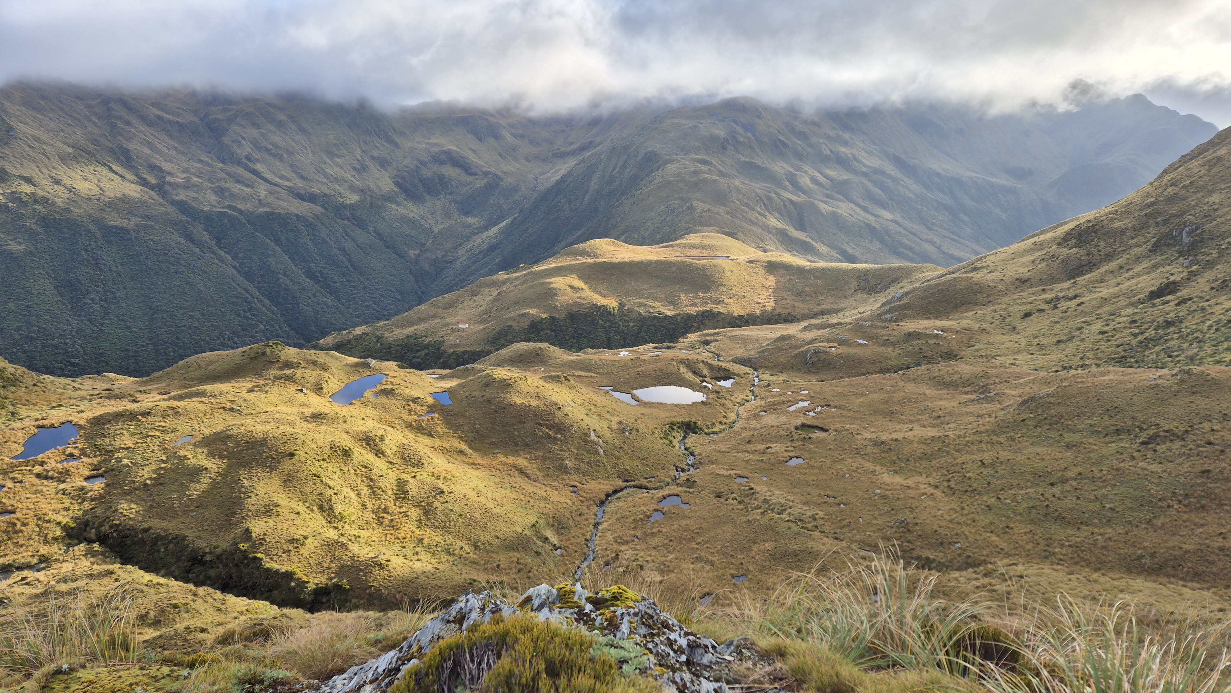 From Lake Morgan towards Lake Morgan hut. Lake Morgan Cone Creek loop.