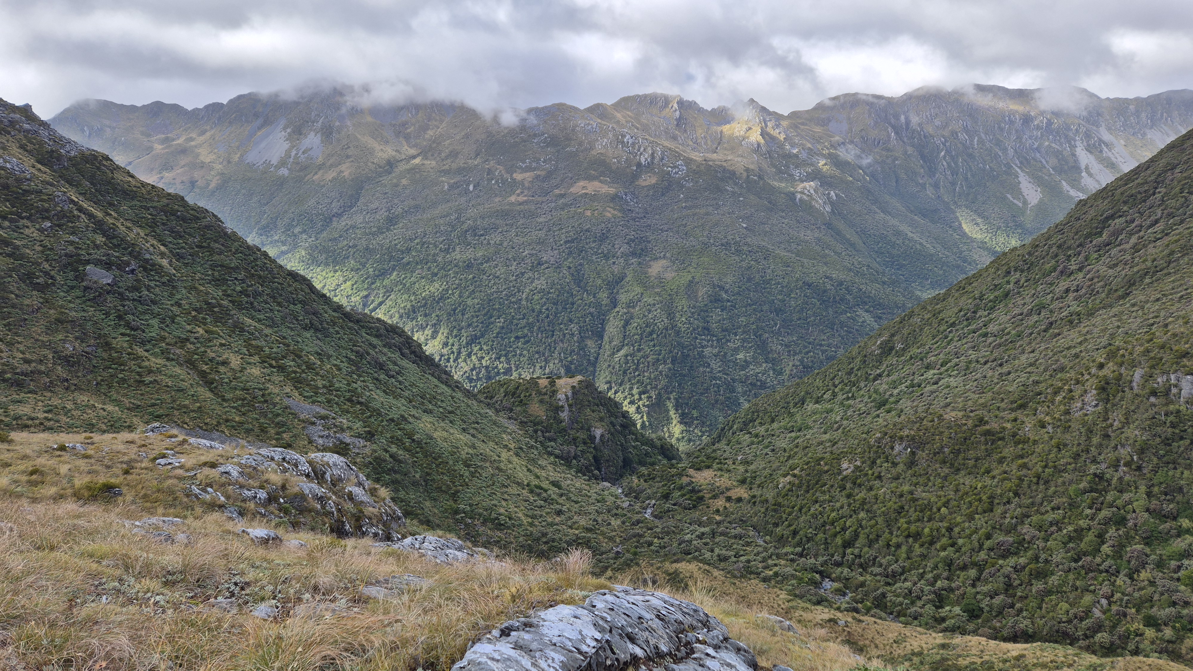 Looking down towards the spot where you enter the bush towards Cone Crook. Lake Morgan Cone Creek Loop