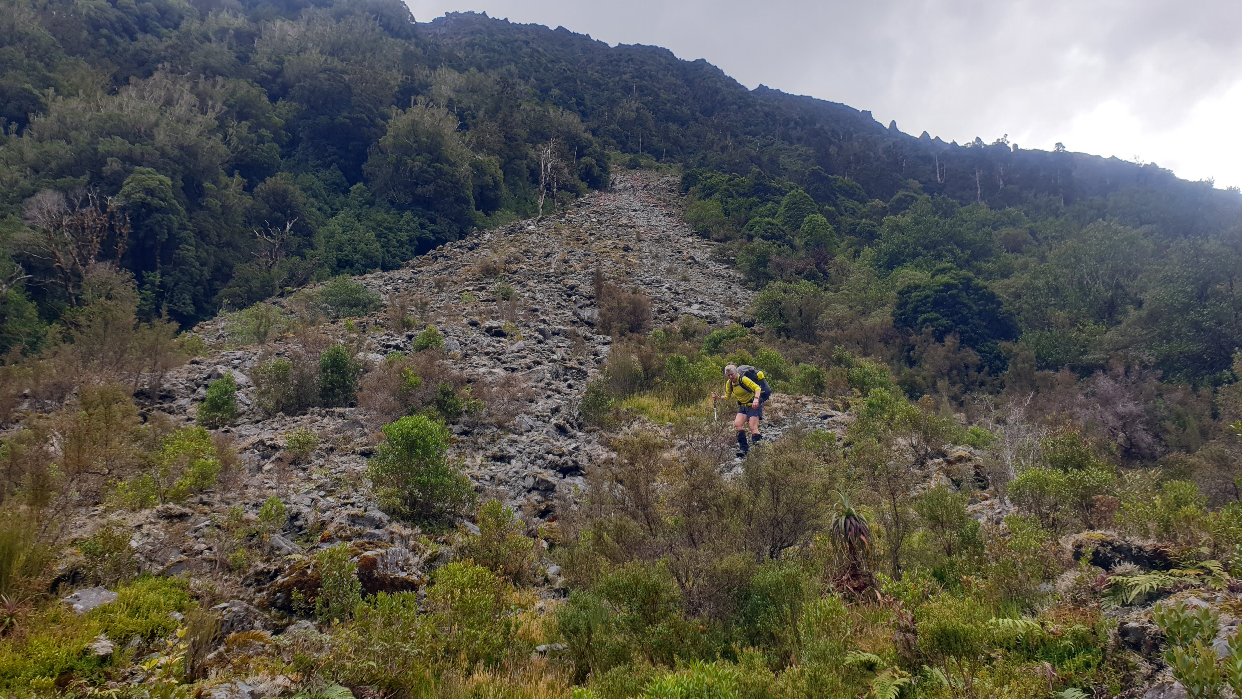 At the base of the scree slope above Cone Creek hut. Lake Morgan Cone Creek loop