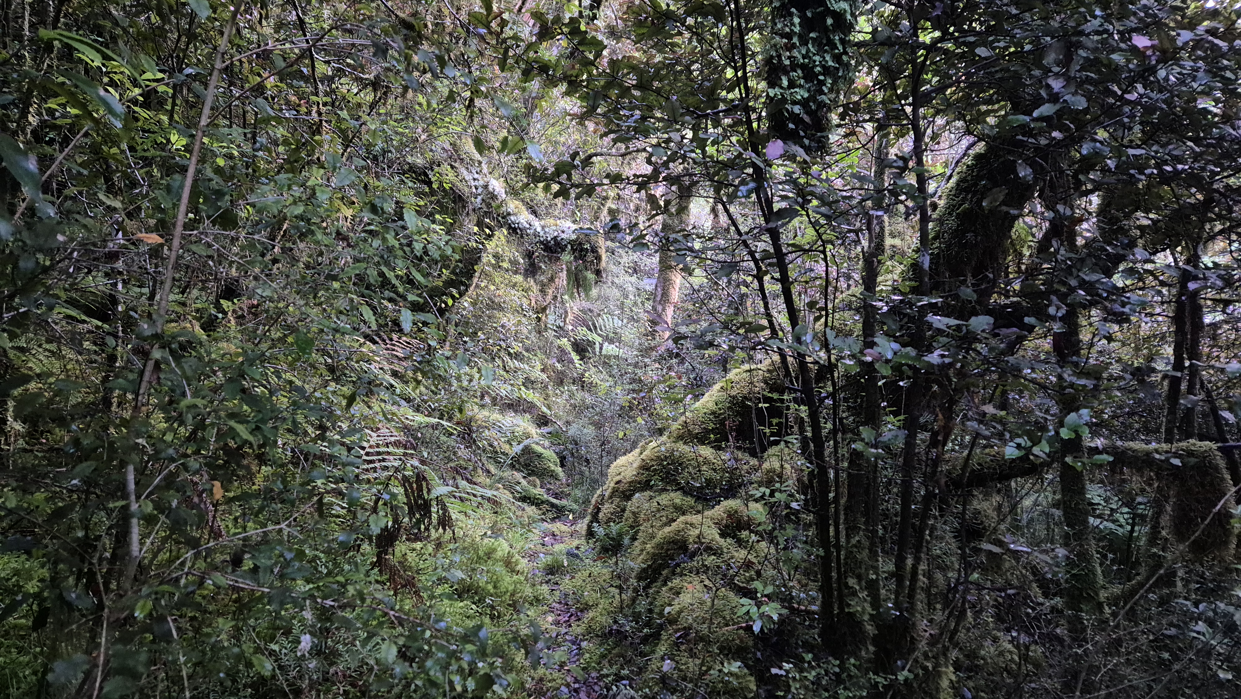 Leaving Cone Creek hut. Brian O'Lyn, Lake Morgan Cone creek loop