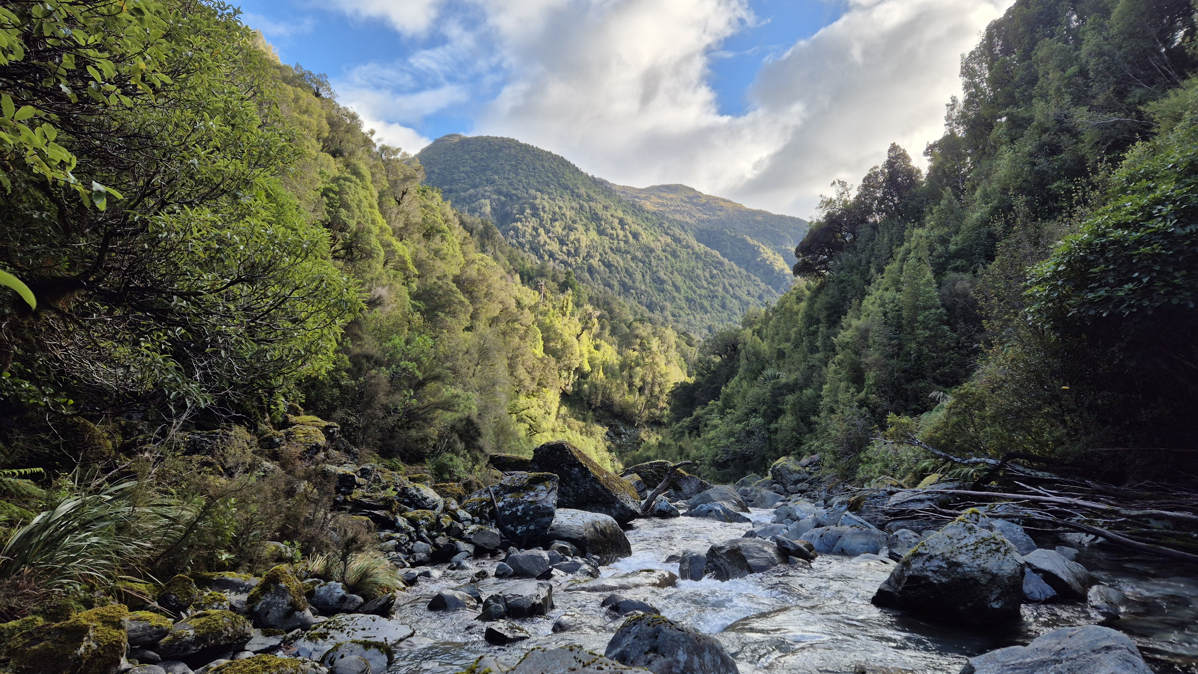 Reaching Cone Creek. Brian O'Lyn, Lake Morgan Cone Creek loop
