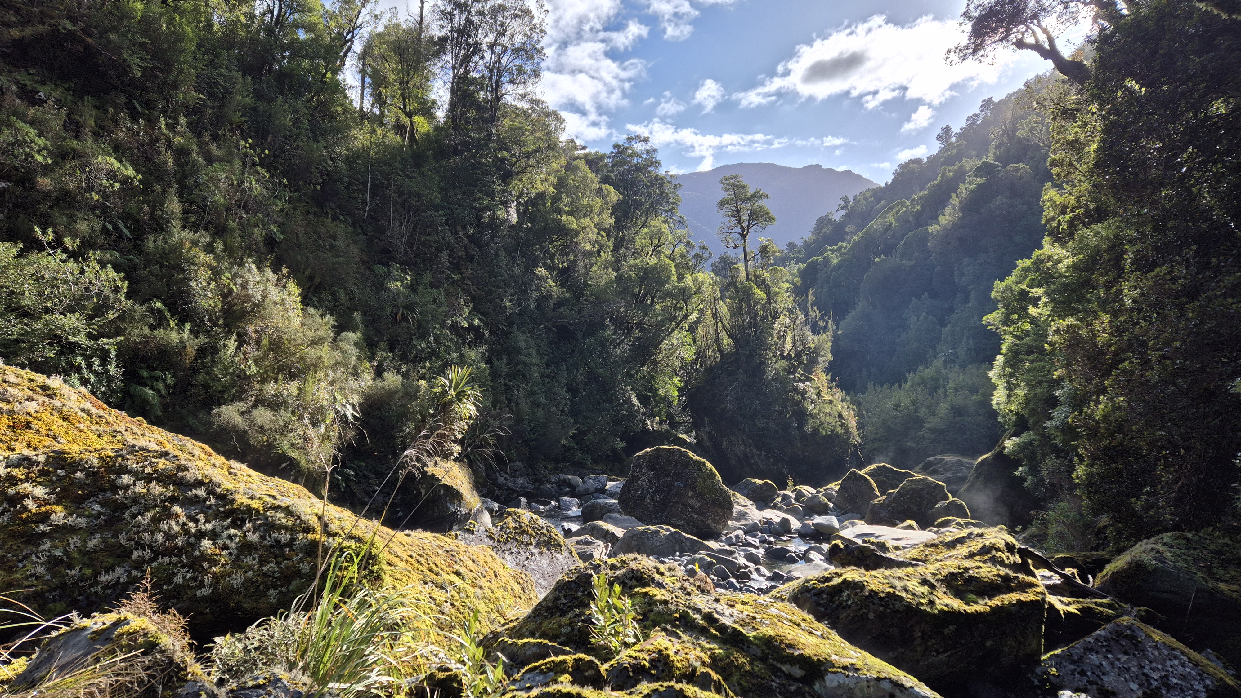 Looking down Cone Creek on the lake Morgan Cone Creek Loop