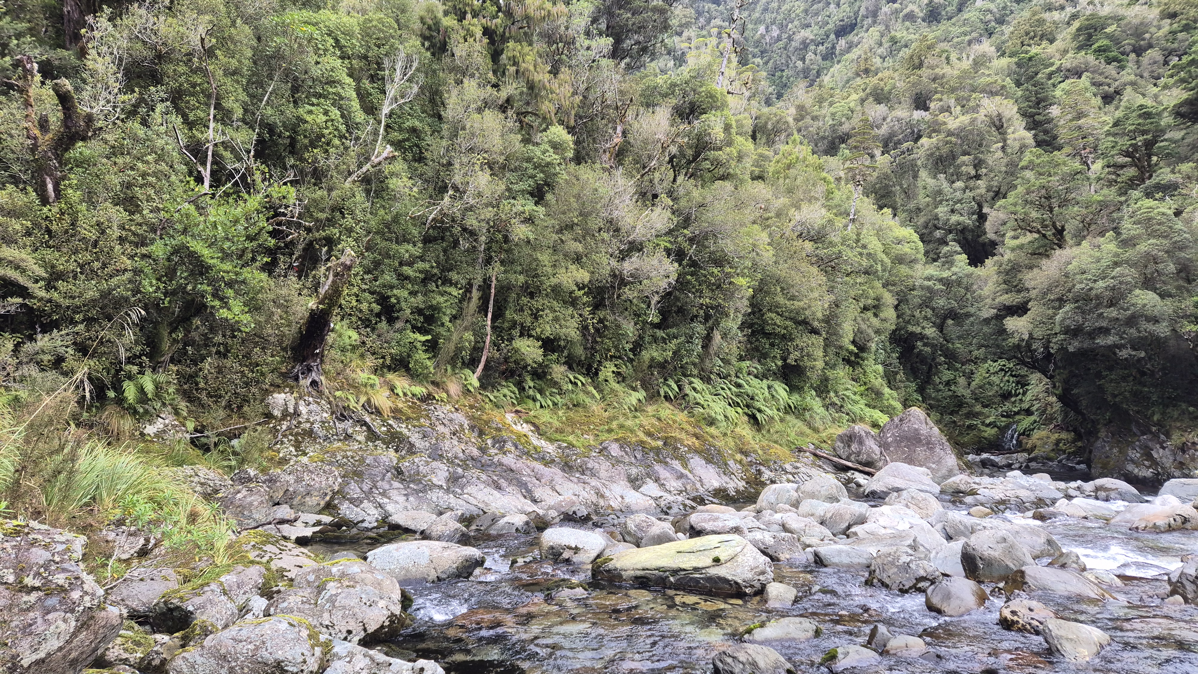 A scramble up the rocks on the true left of Cone Creek. Lake Morgan Cone Creek loop