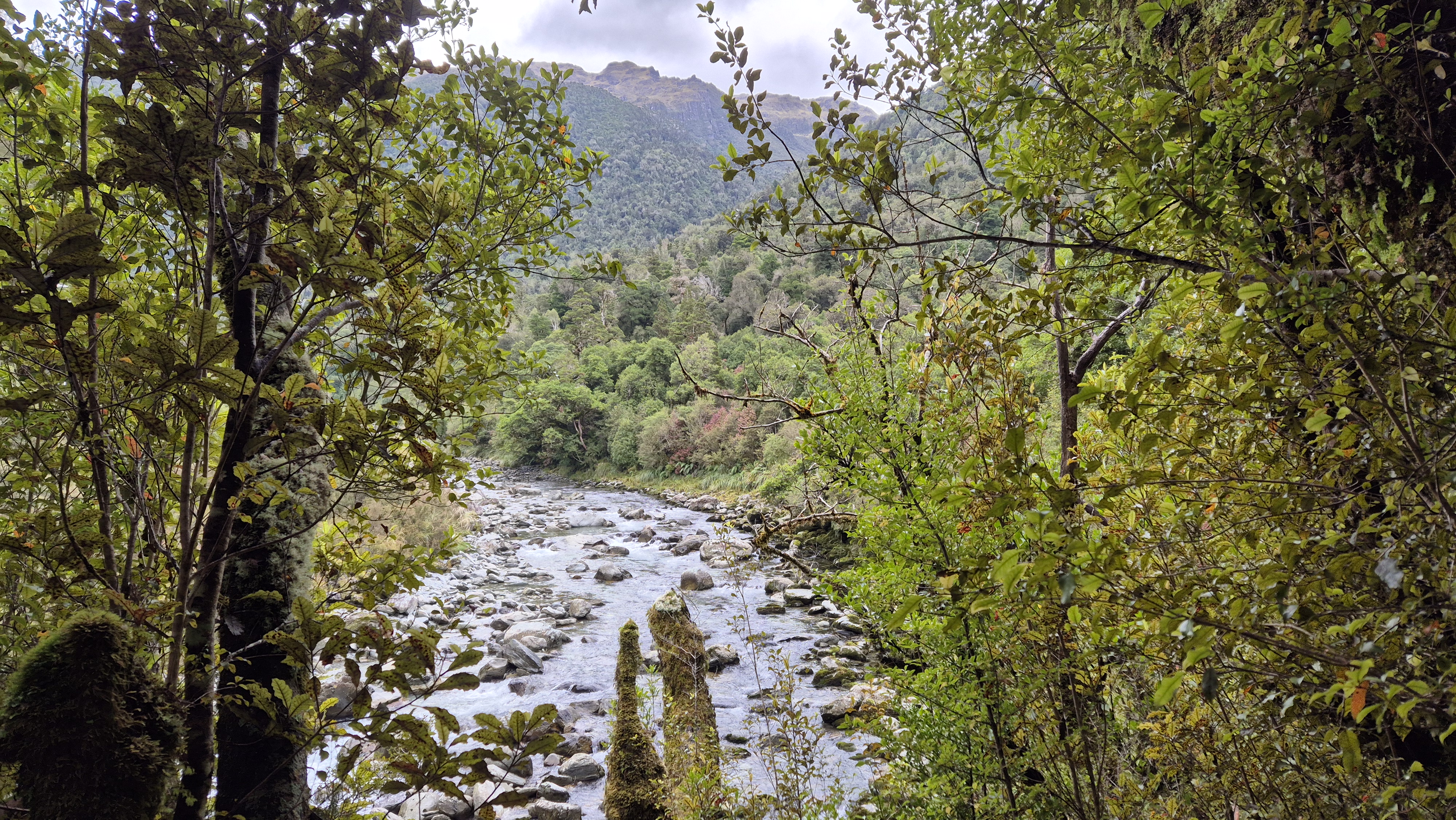 Great views up Cone Creek. Lake Morgan Cone Creek loop